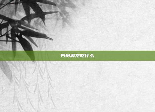 方舟翼龙吃什么