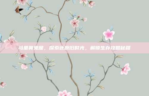 马里奥鬼屋，探索还原旧时光，解锁生存攻略秘籍