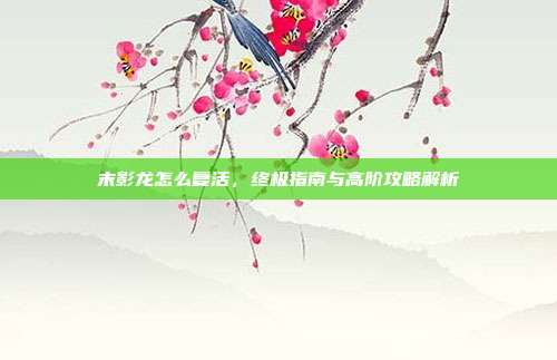 末影龙怎么复活，终极指南与高阶攻略解析