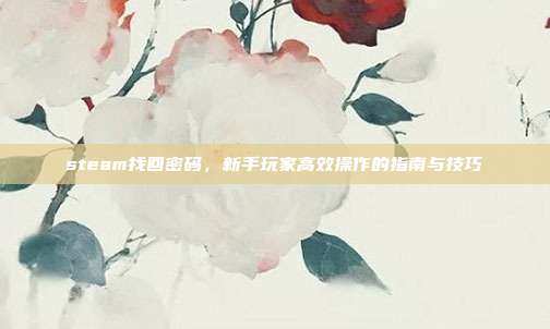 steam找回密码,新手玩家高效操作的指南与技巧