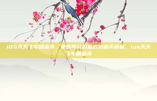 iOS天天飞车刷金币，那些年我们追过的金币秘籍，ios天天飞车刷金币