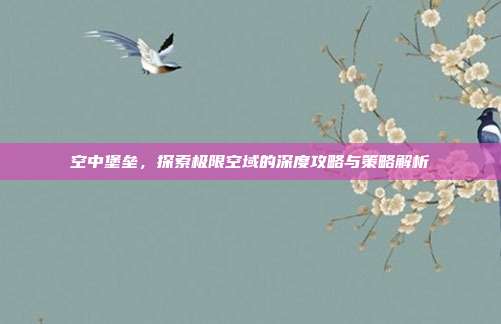 空中堡垒，探索极限空域的深度攻略与策略解析