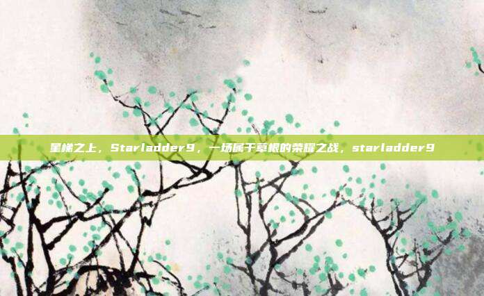 星梯之上，Starladder9，一场属于草根的荣耀之战，starladder9