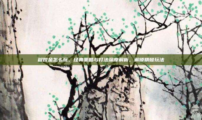 程咬金怎么玩,经典策略与打法深度解析,解锁精髓玩法