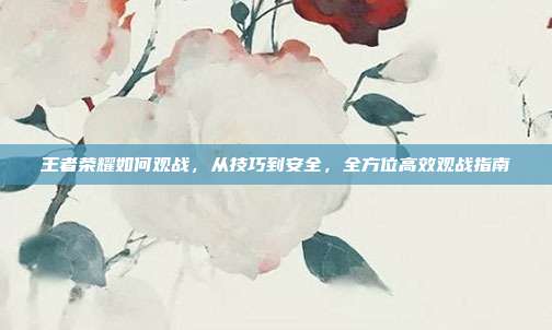 王者荣耀如何观战,从技巧到安全,全方位高效观战指南
