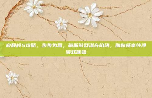 寂静岭5攻略，步步为营，破解游戏潜在陷阱，助你畅享纯净游戏体验
