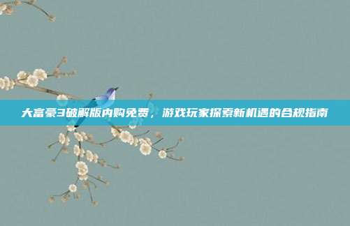 大富豪3破解版内购免费,游戏玩家探索新机遇的合规指南