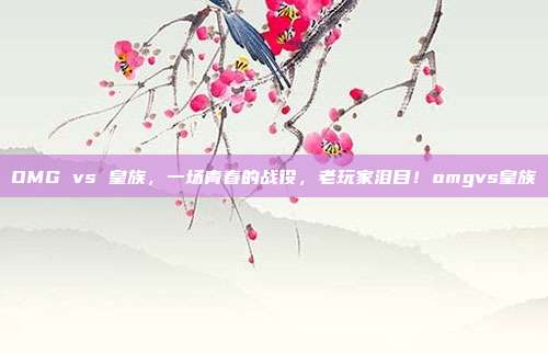 OMG vs 皇族，一场青春的战役，老玩家泪目！omgvs皇族