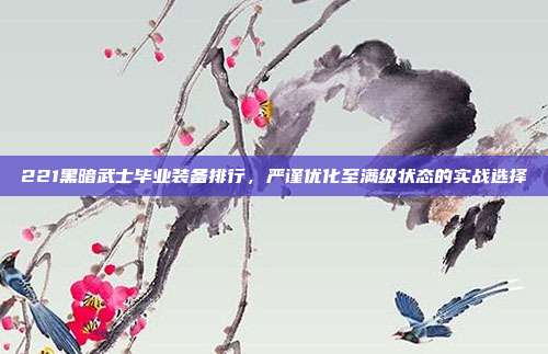 221黑暗武士毕业装备排行,严谨优化至满级状态的实战选择