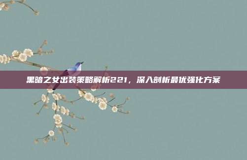 黑暗之女出装策略解析221，深入剖析最优强化方案