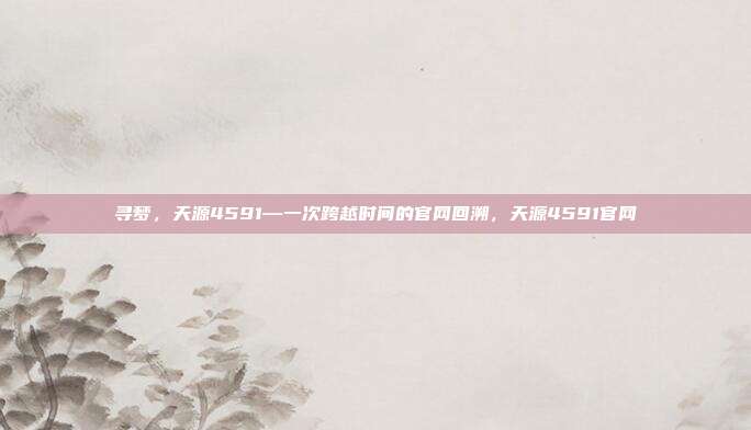 寻梦，天源4591—一次跨越时间的官网回溯，天源4591官网