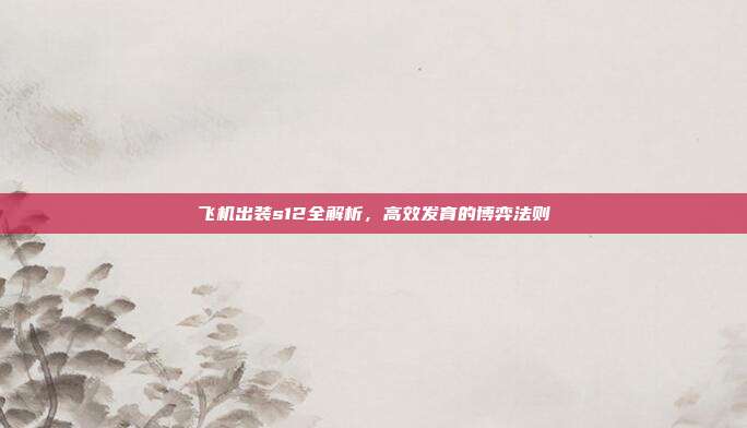 飞机出装s12全解析,高效发育的博弈法则