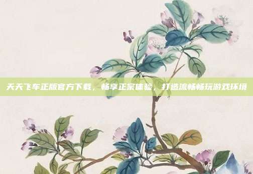 天天飞车正版官方下载,畅享正宗体验,打造流畅畅玩游戏环境