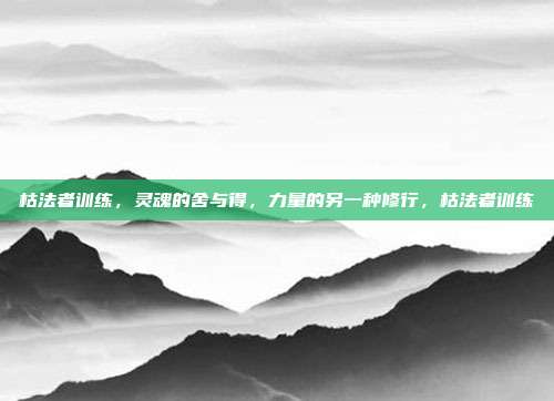 枯法者训练，灵魂的舍与得，力量的另一种修行，枯法者训练