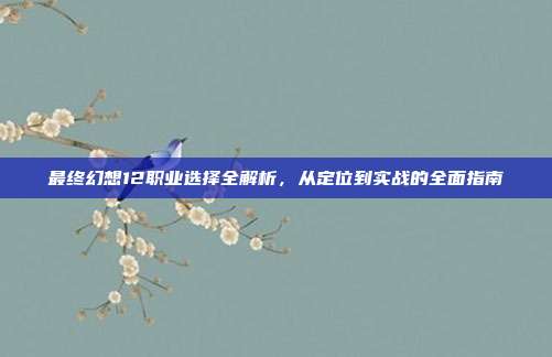 最终幻想12职业选择全解析,从定位到实战的全面指南