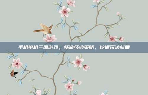 手机单机三国游戏，畅游经典策略，挖掘玩法新角
