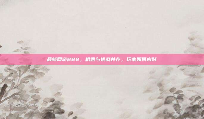 最新网游222，机遇与挑战并存，玩家如何应对