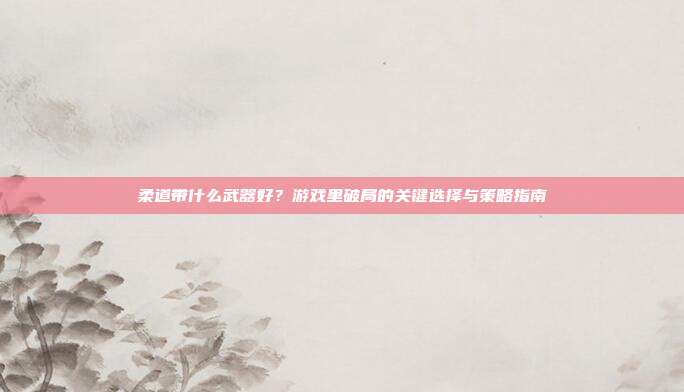 柔道带什么武器好?游戏里破局的关键选择与策略指南
