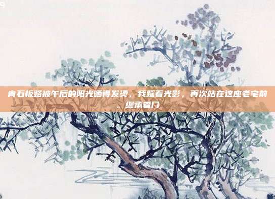 青石板路被午后的阳光晒得发烫，我踩着光影，再次站在这座老宅前。继承者门