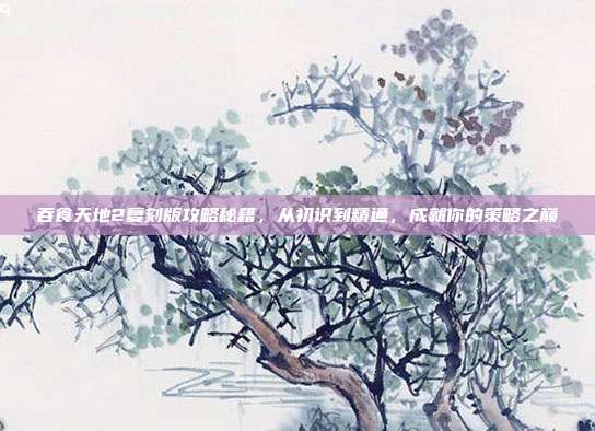 吞食天地2复刻版攻略秘籍,从初识到精通,成就你的策略之巅