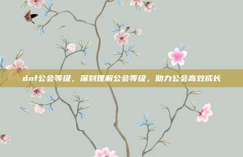dnf公会等级,深刻理解公会等级,助力公会高效成长