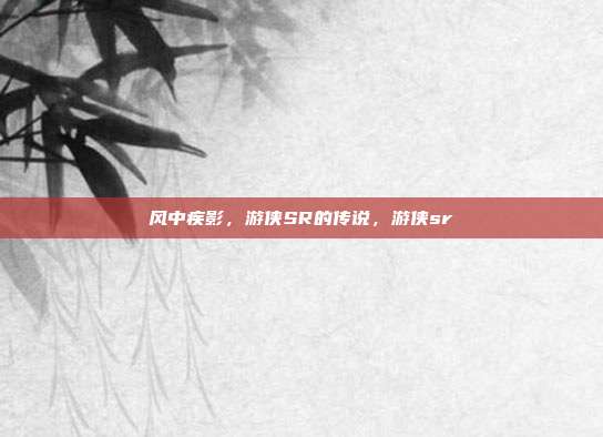 风中疾影，游侠SR的传说，游侠sr