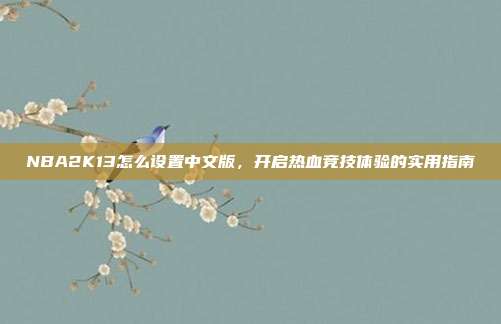 NBA2K13怎么设置中文版,开启热血竞技体验的实用指南