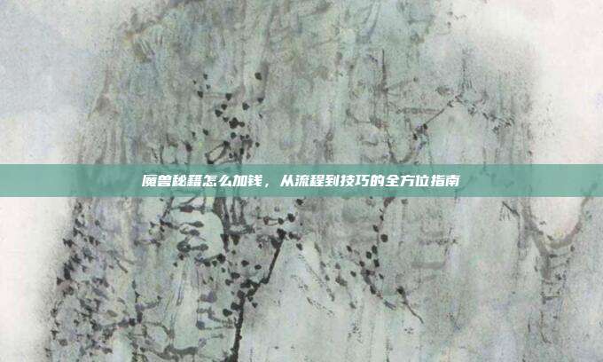 魔兽秘籍怎么加钱，从流程到技巧的全方位指南