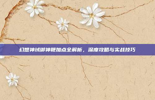 幻想神域御神鞭加点全解析，深度攻略与实战技巧