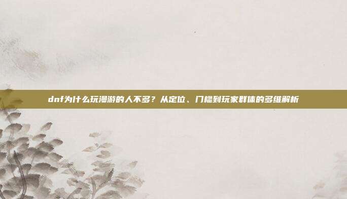 dnf为什么玩漫游的人不多?从定位、门槛到玩家群体的多维解析