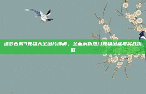 造梦西游3宠物大全图片详解,全面解析热门宠物图鉴与实战价值