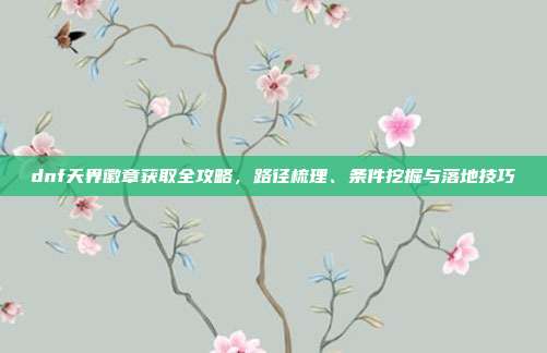 dnf天界徽章获取全攻略,路径梳理、条件挖掘与落地技巧