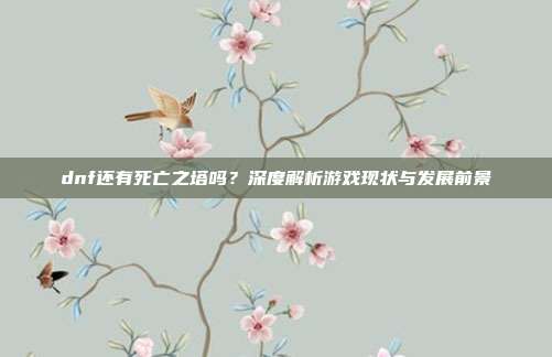 dnf还有死亡之塔吗？深度解析游戏现状与发展前景