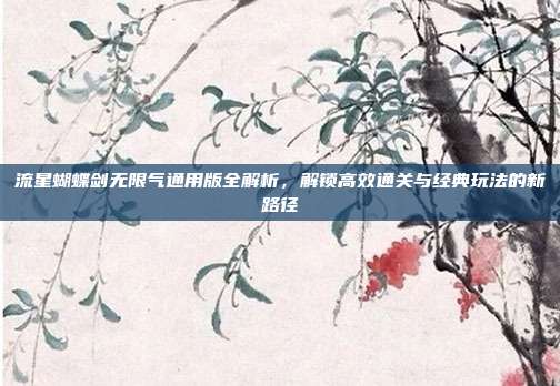 流星蝴蝶剑无限气通用版全解析,解锁高效通关与经典玩法的新路径