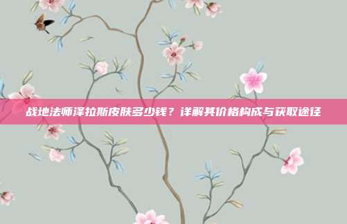 战地法师泽拉斯皮肤多少钱?详解其价格构成与获取途径
