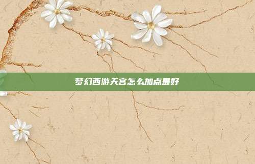 梦幻西游天宫怎么加点最好