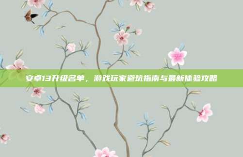 安卓13升级名单,游戏玩家避坑指南与最新体验攻略