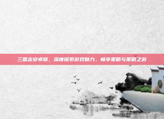 三国志安卓版，深度探索游戏魅力，畅享策略与策略之游