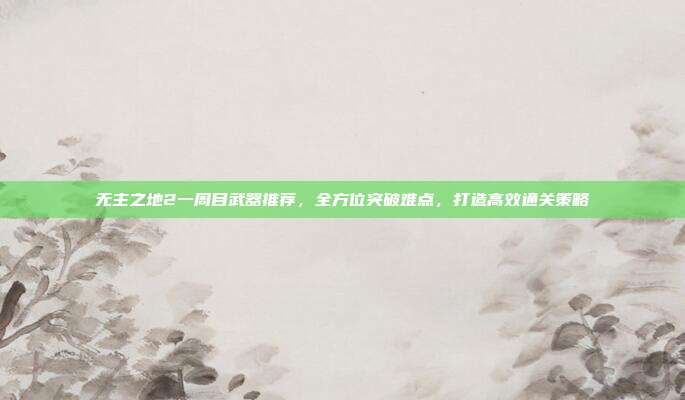 无主之地2一周目武器推荐，全方位突破难点，打造高效通关策略