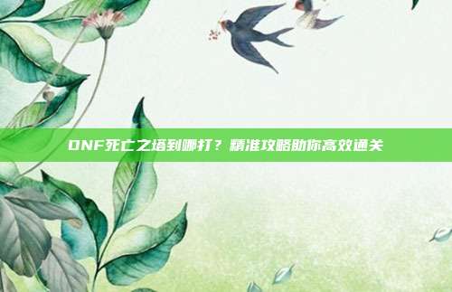 DNF死亡之塔到哪打?精准攻略助你高效通关