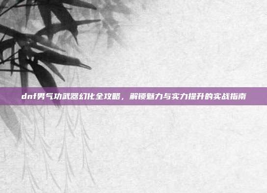 dnf男气功武器幻化全攻略，解锁魅力与实力提升的实战指南