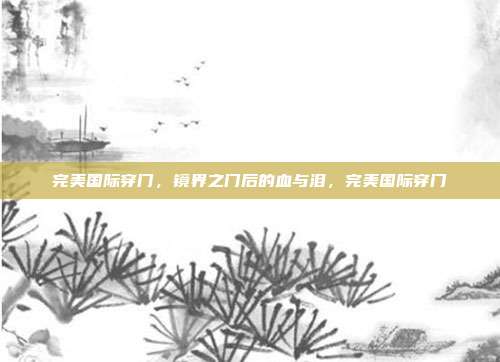 完美国际穿门,镜界之门后的血与泪,完美国际穿门