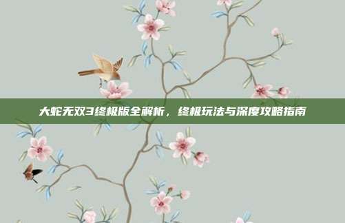 大蛇无双3终极版全解析,终极玩法与深度攻略指南