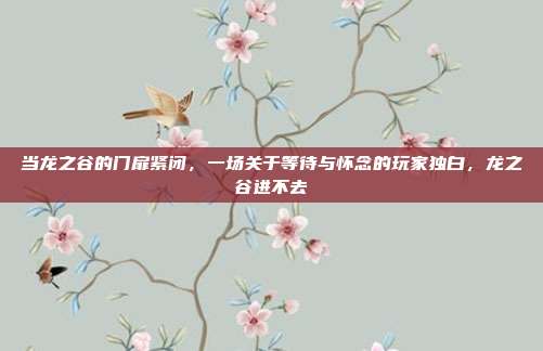 当龙之谷的门扉紧闭,一场关于等待与怀念的玩家独白,龙之谷进不去