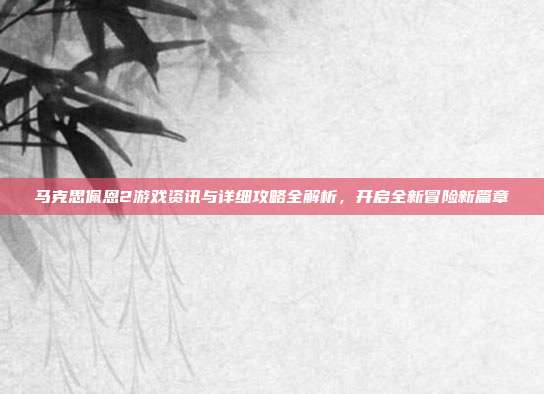 马克思佩恩2游戏资讯与详细攻略全解析，开启全新冒险新篇章