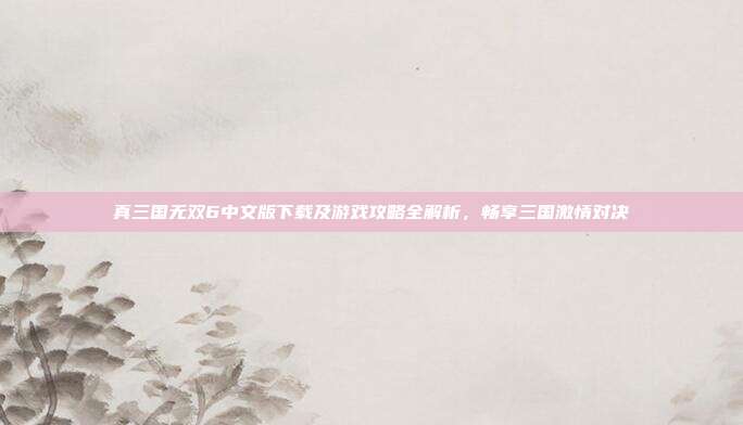 真三国无双6中文版下载及游戏攻略全解析,畅享三国激情对决