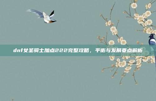 dnf女圣骑士加点222完整攻略，平衡与发展要点解析