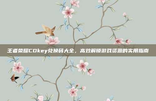 王者荣耀CDkey兑换码大全，高效解锁游戏资源的实用指南