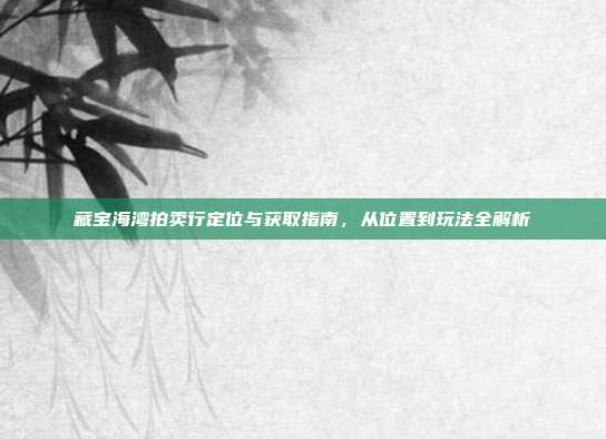 藏宝海湾拍卖行定位与获取指南,从位置到玩法全解析