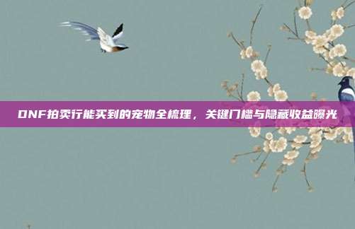 DNF拍卖行能买到的宠物全梳理,关键门槛与隐藏收益曝光